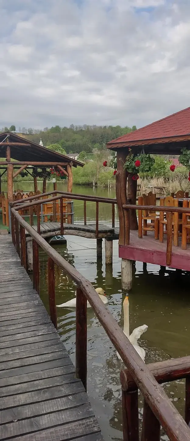 Restaurant nuntă Neamț – Pensiunea Rechinul
